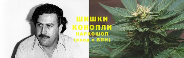 стаф Богородицк