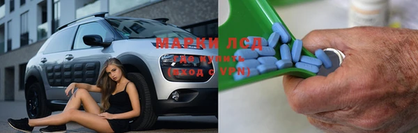 спиды Верея