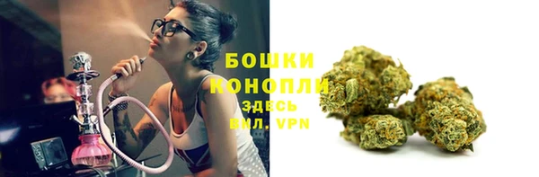 спиды Верея
