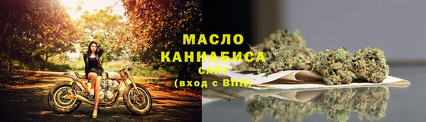 гашиш Богданович