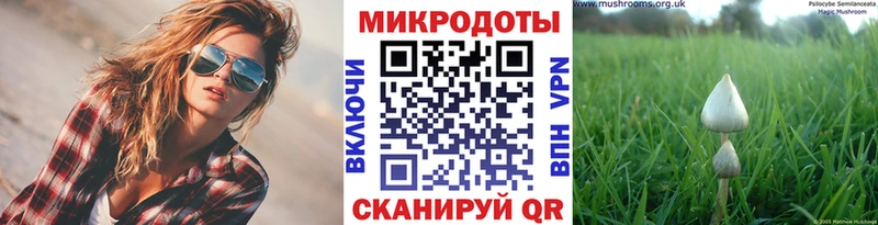 как найти закладки  Дудинка  Галлюциногенные грибы прущие грибы 